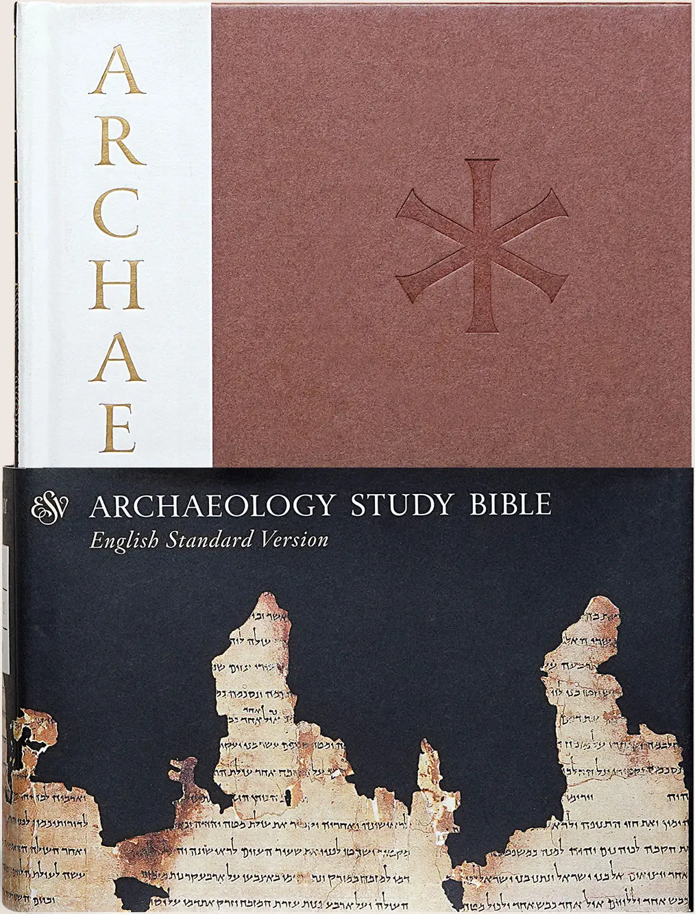 Archaeology Bible